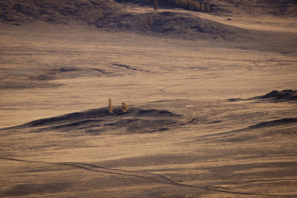 Photograph by Одаренко Ольга