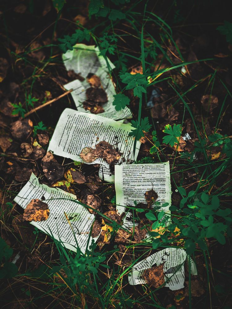 Photograph by Игорь Урывский