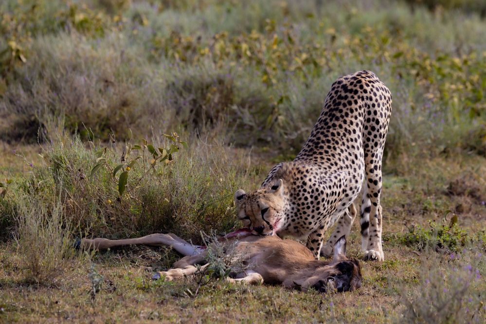 Photograph by Одаренко Ольга