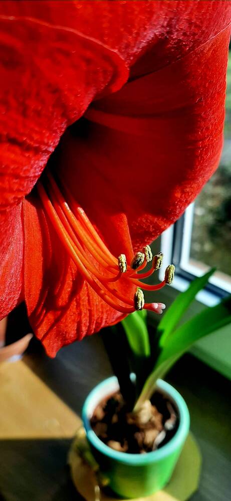 Photograph by Arkadij Frejdlin