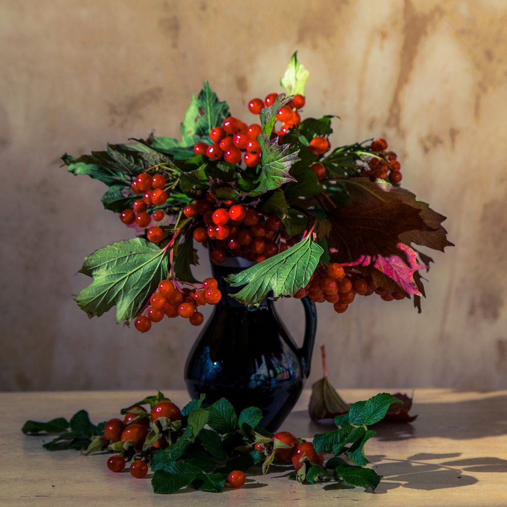 Photograph by Алексеев Сергей