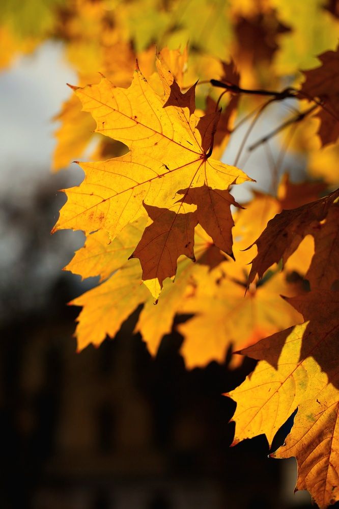 Photograph by Владимир Охрименко