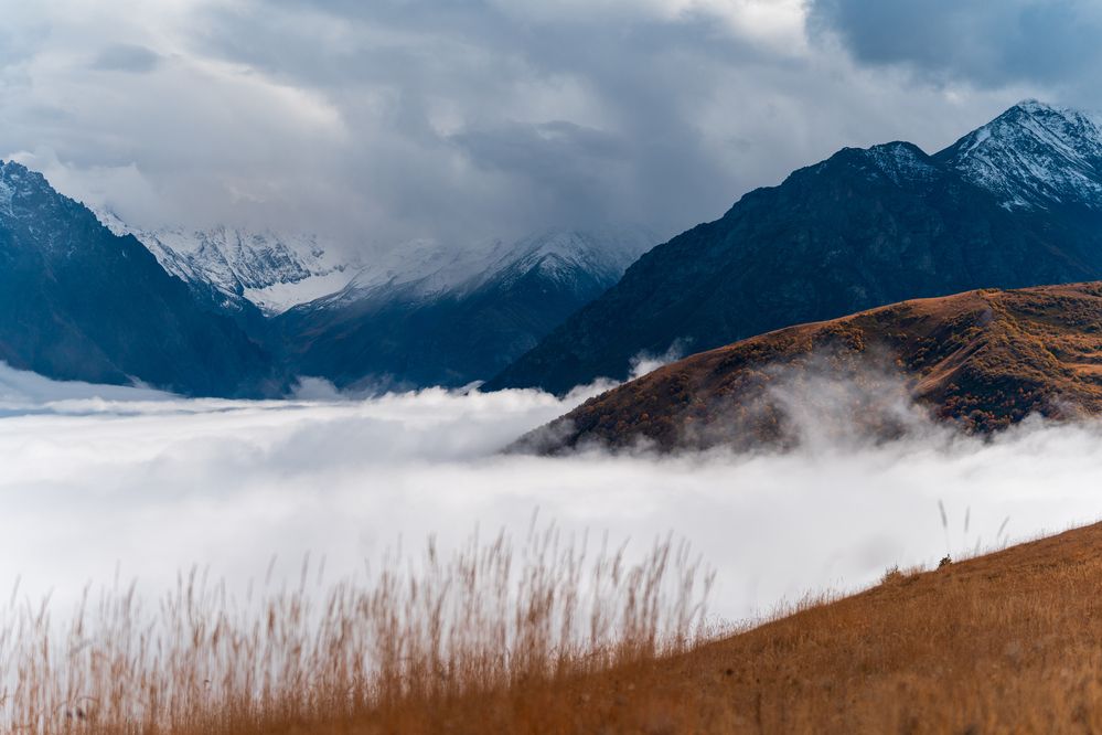 Фотография автора Олег Кожухов