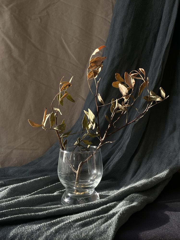 Photograph by Таня Ускова