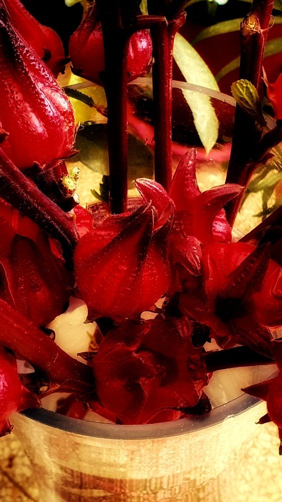 Фотография автора Марина