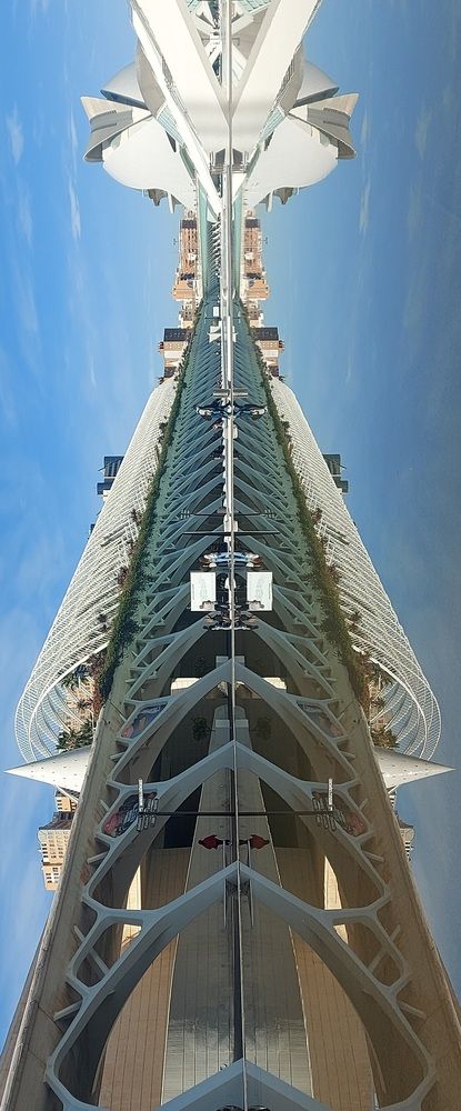 Una mantis te observa