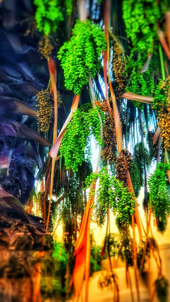 Фотография автора Марина