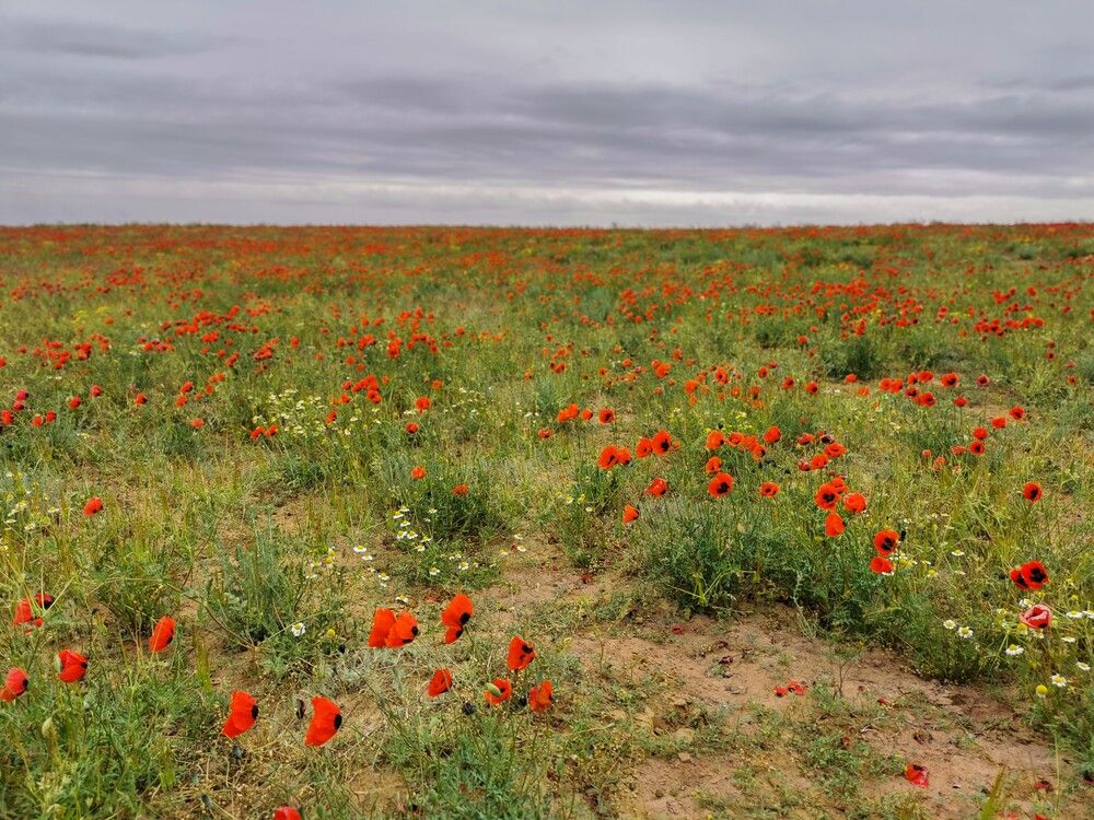 Photograph by Александр П