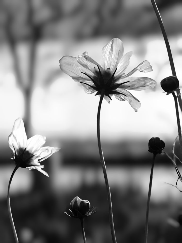 Фотография автора Владимир Ли