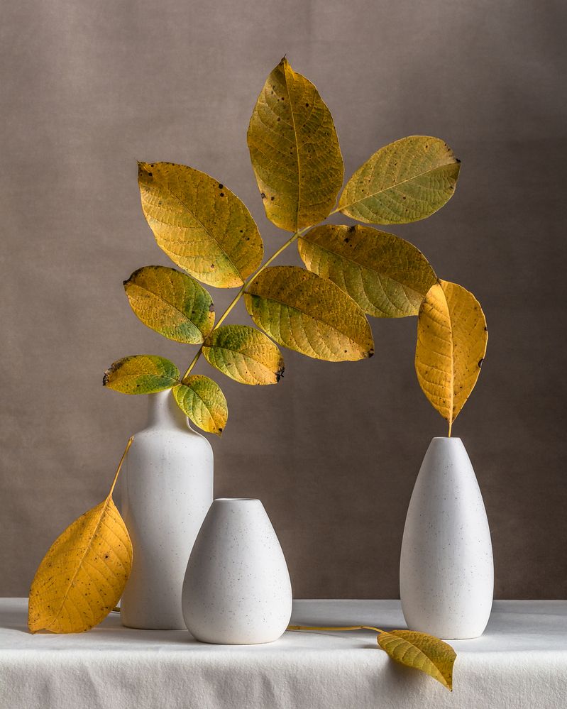 Photograph by Людмила Прибылова