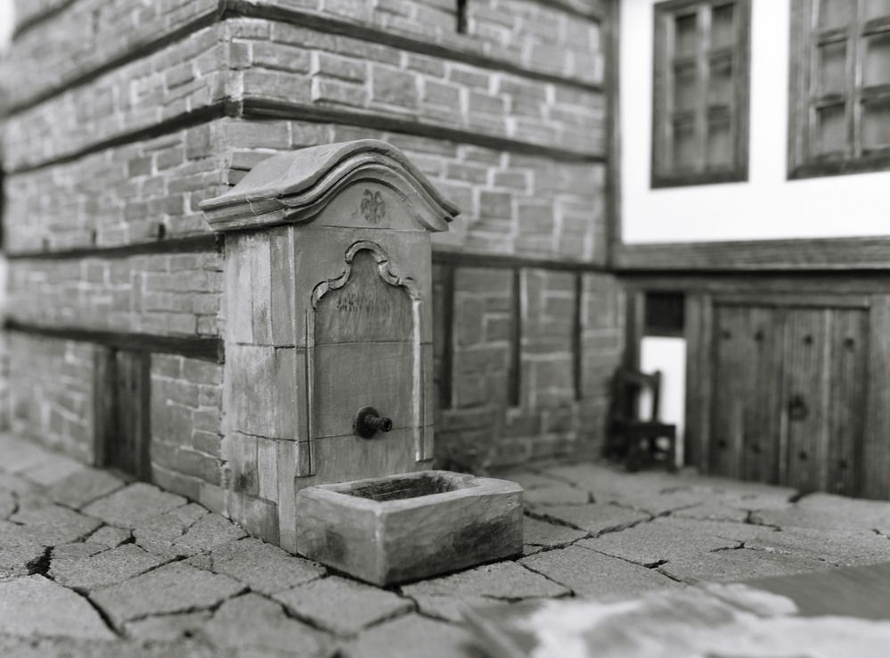 Photograph by Alexandra Ivanova