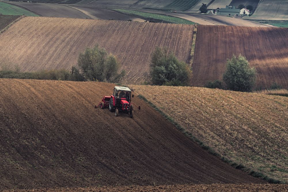 Photograph by Budyta Dariusz