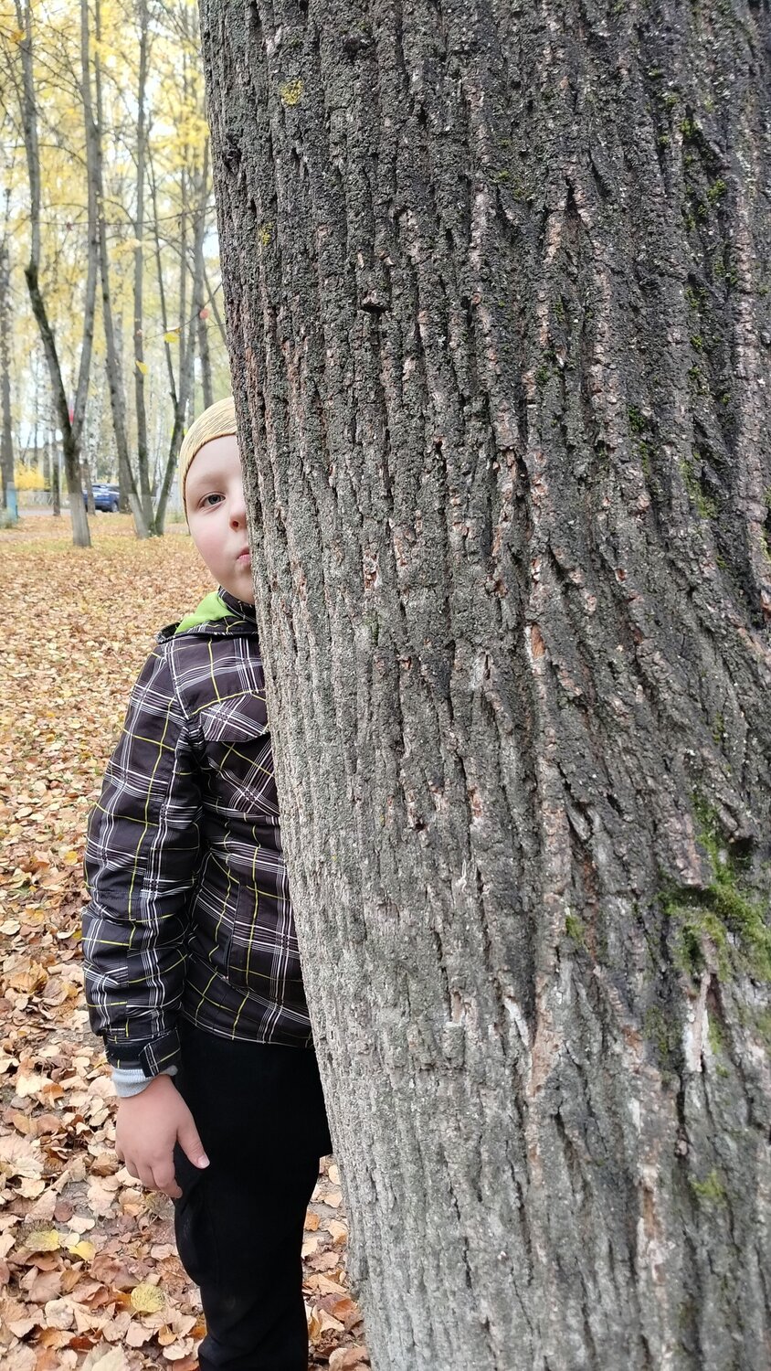 Photo #12714682