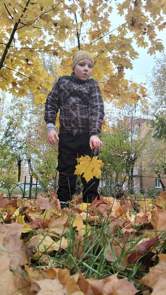 Photo #12714684