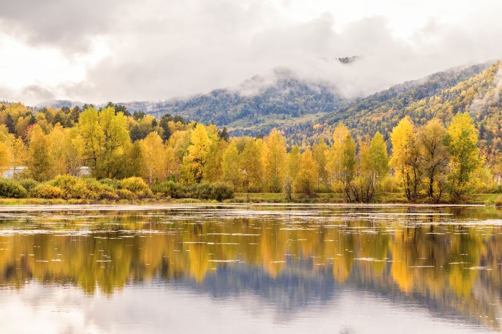 Фотография автора Галина Шепелева