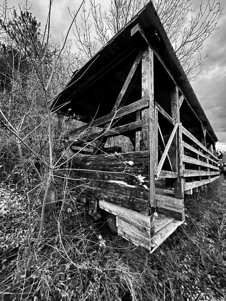 Photograph by Алексей Поляков