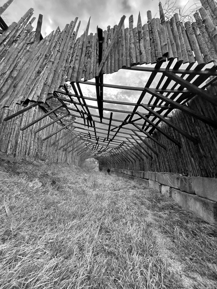 Photograph by Алексей Поляков