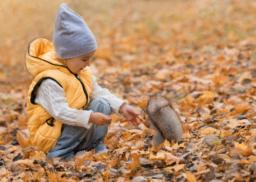 Покормлю белочку