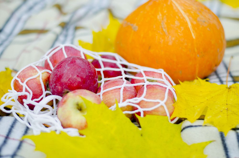 Photograph by Елена Курзенёва