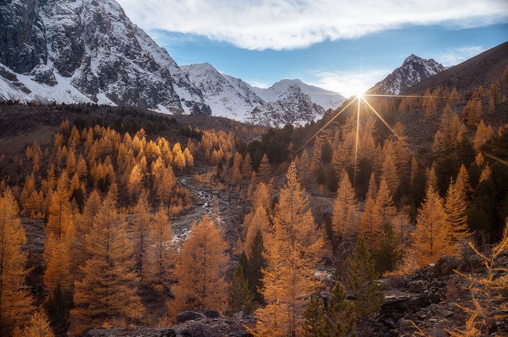 Photograph by Анастасия Петрова