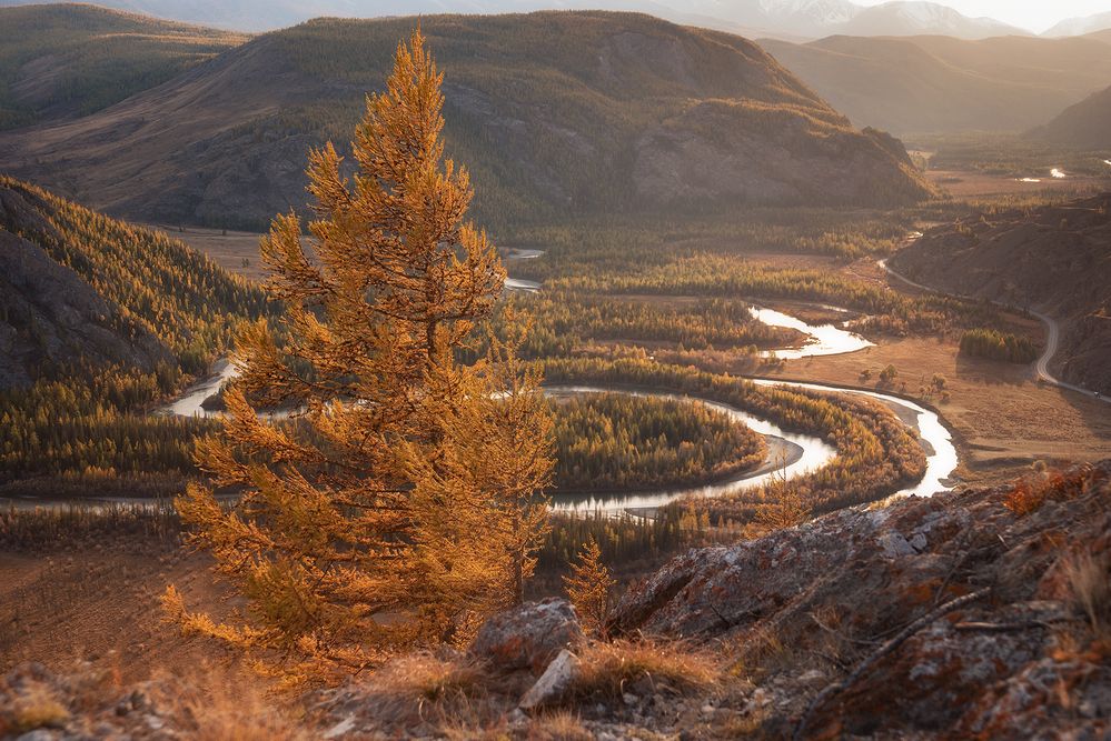 Photograph by Анастасия Петрова