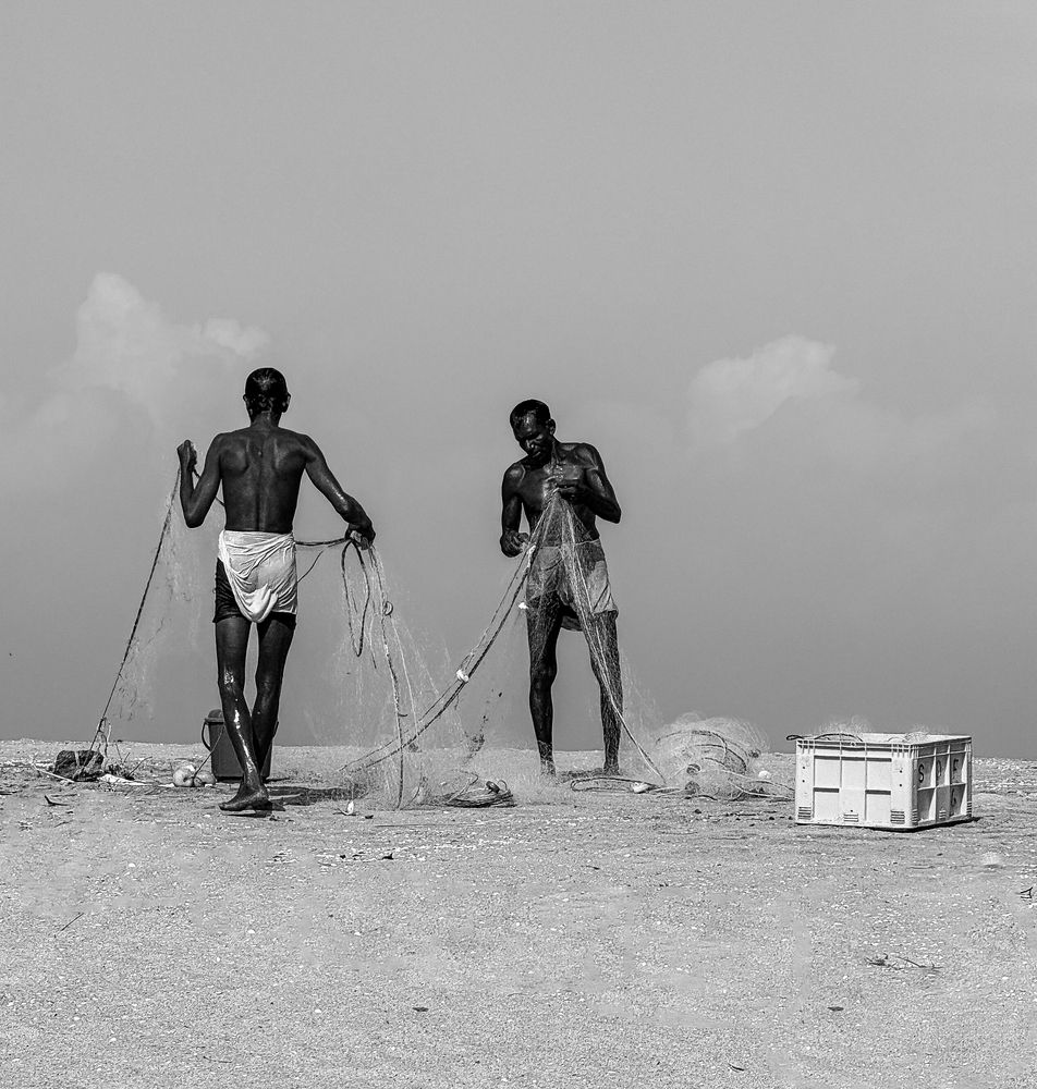 survival vs survival