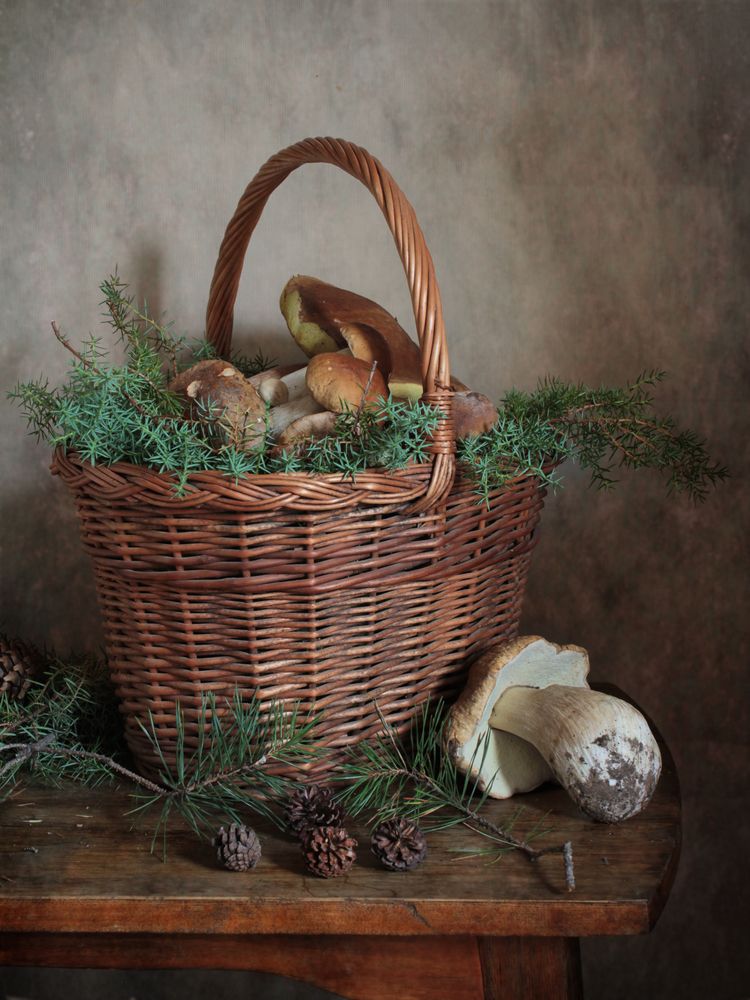 Фотография автора Ганина Галина