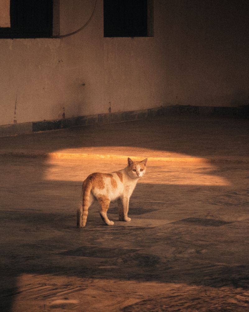 Photograph by Lucy Mirza