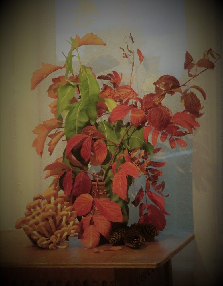 Photograph by Людмила Кононова