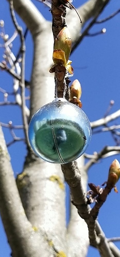 Photograph by Елена Киселёва
