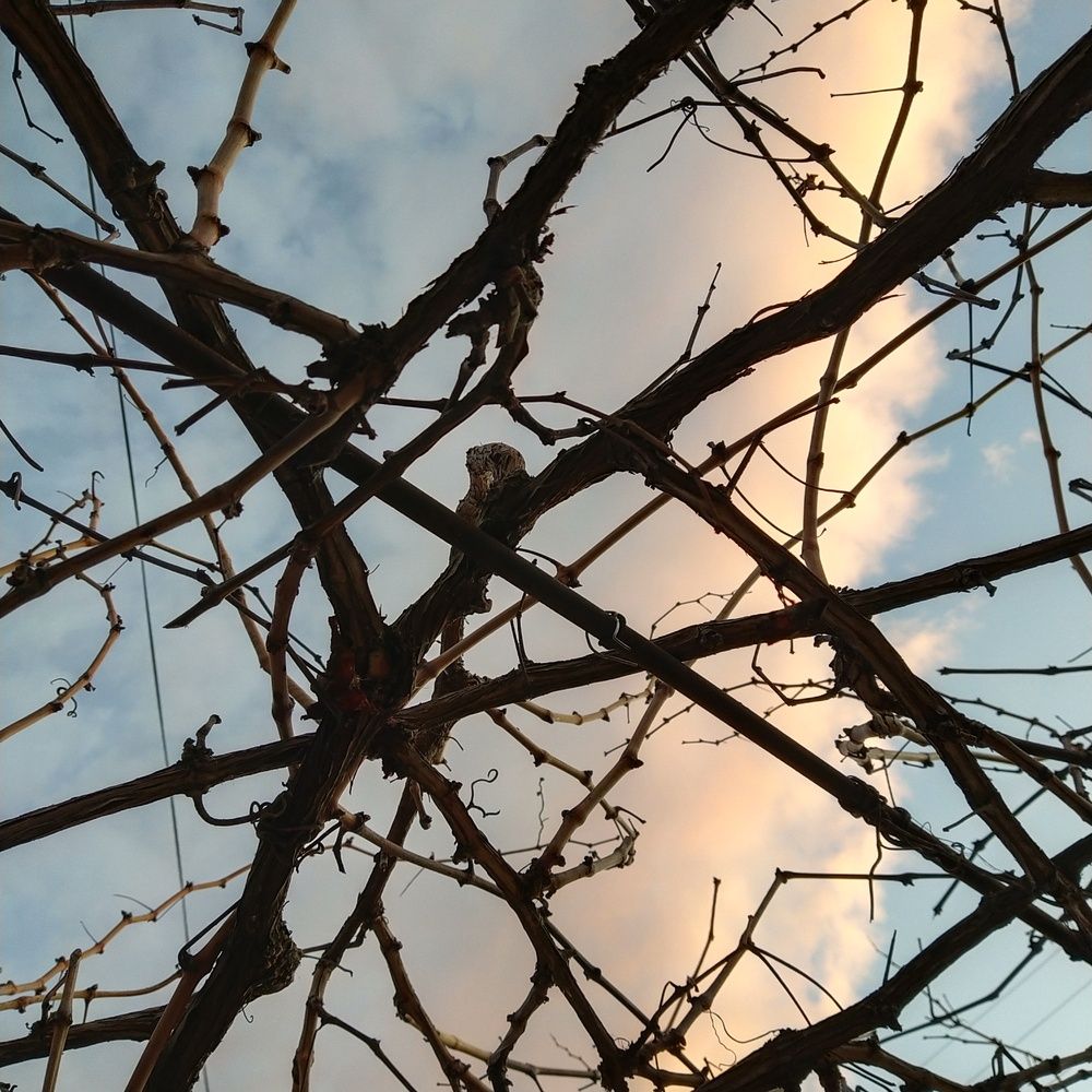 Photograph by Елена Киселёва