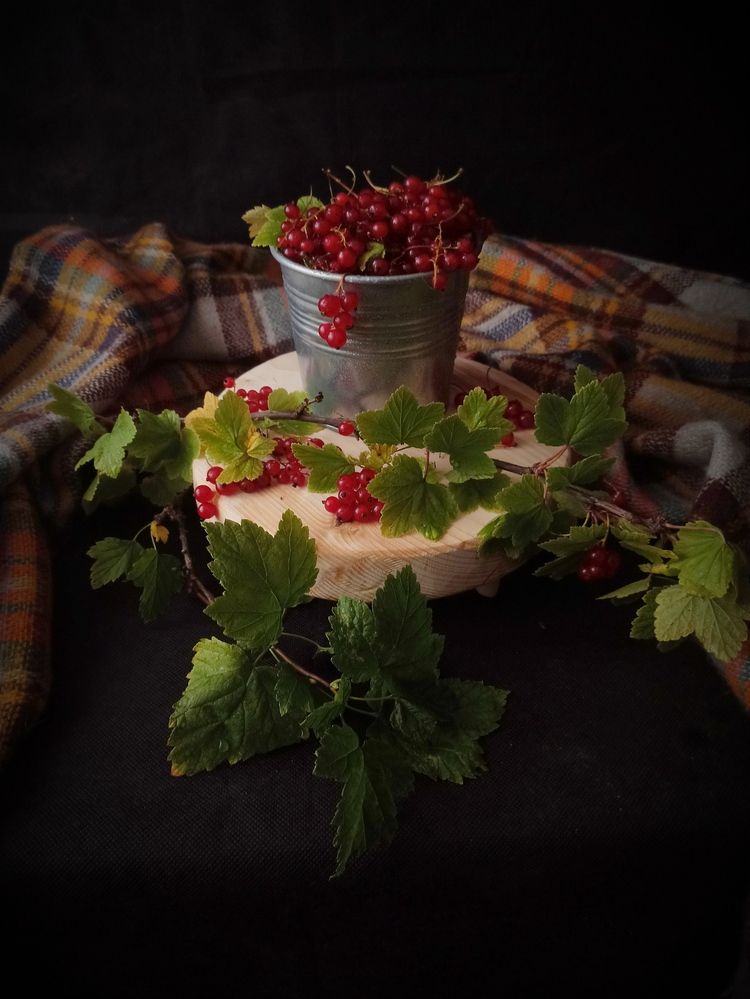 Фотография автора Ирина Кухарчук