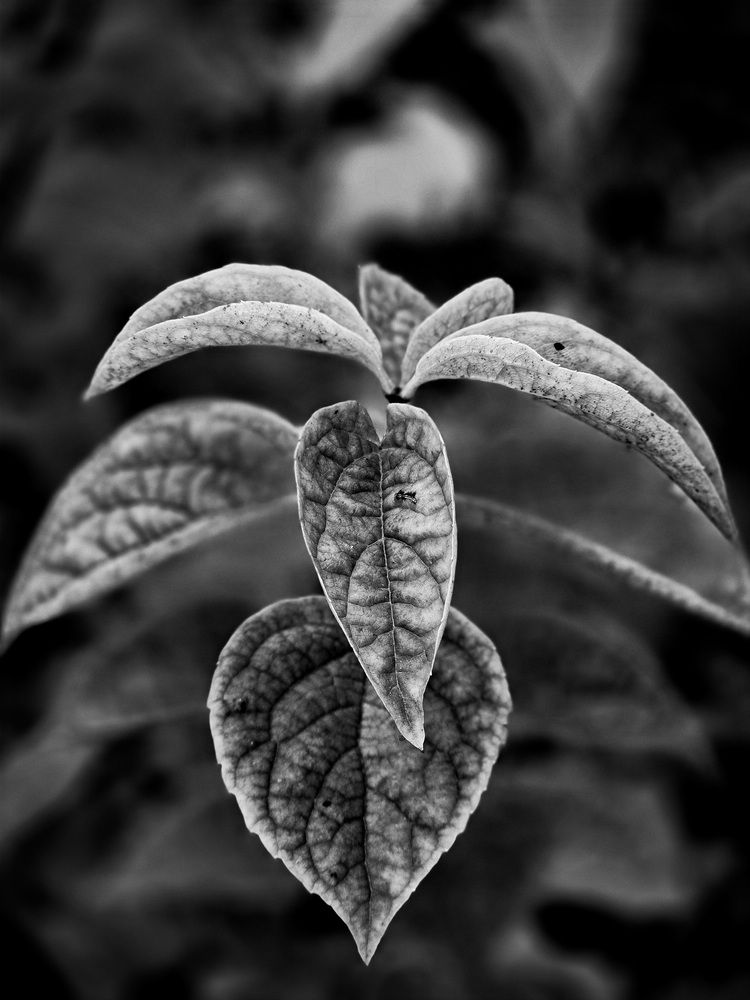Photograph by Андрей Безгин