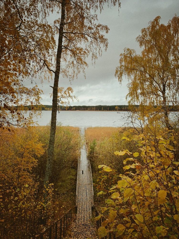 Photograph by Анна Столбова