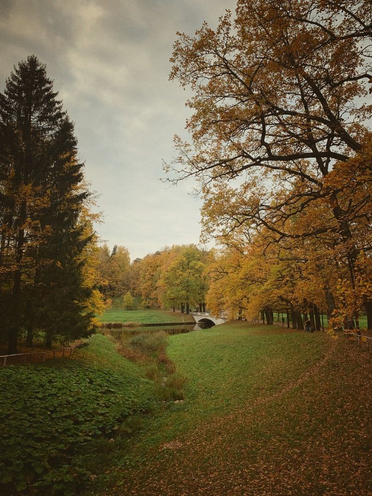 Photograph by Анна Столбова