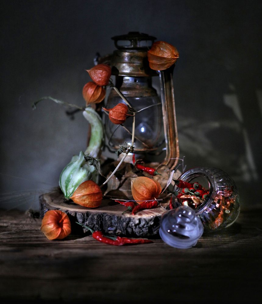 Натюрморт с физалисом,красным жгучим перцем и декоративной тыквой