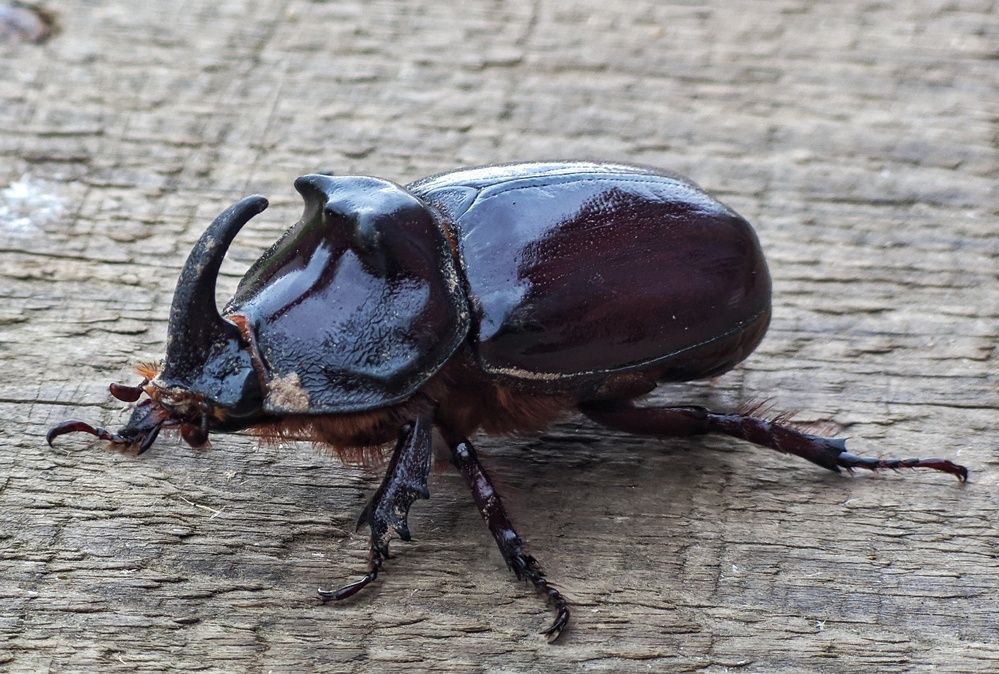 Photograph by Alexandr Gorelenkov