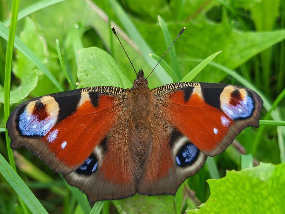 Photograph by Alexandr Gorelenkov
