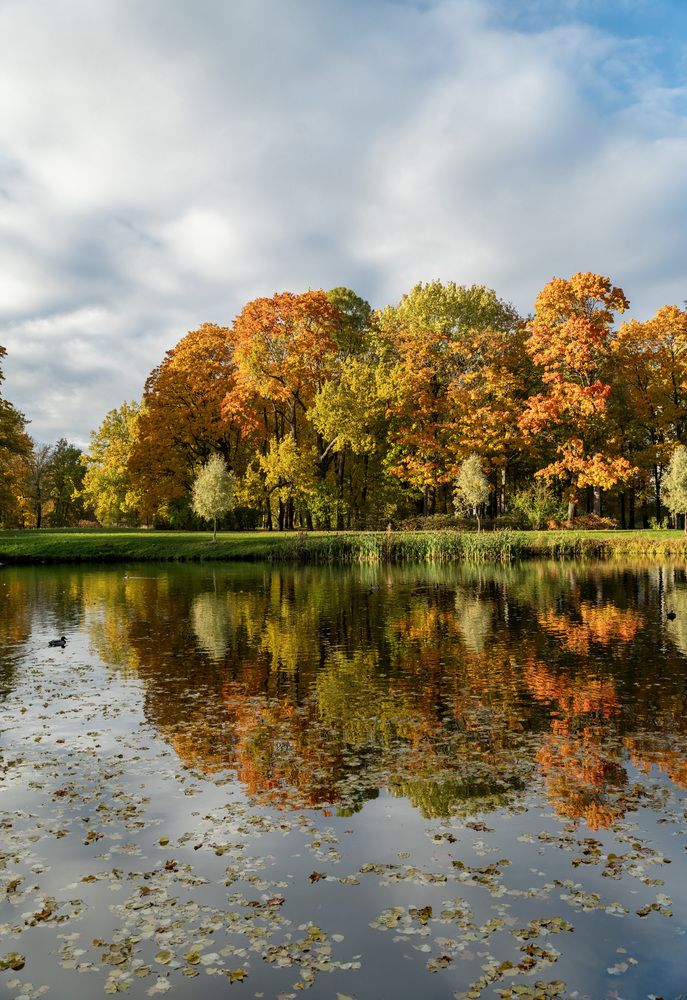 Photograph by Ольга Михайлова