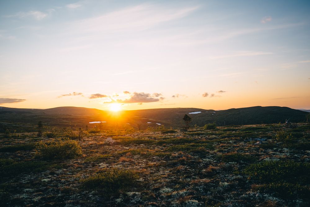 Полярный день! Мурманская область