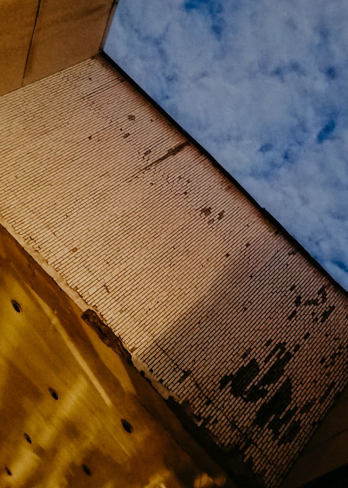 Photograph by Ольга Яценко