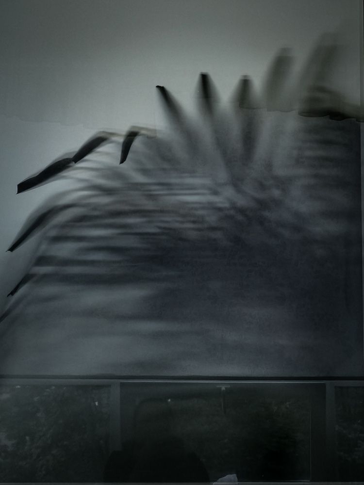 Photograph by Ольга Яценко