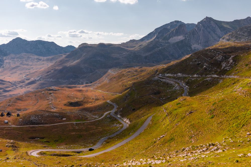 Фотография автора Светлана