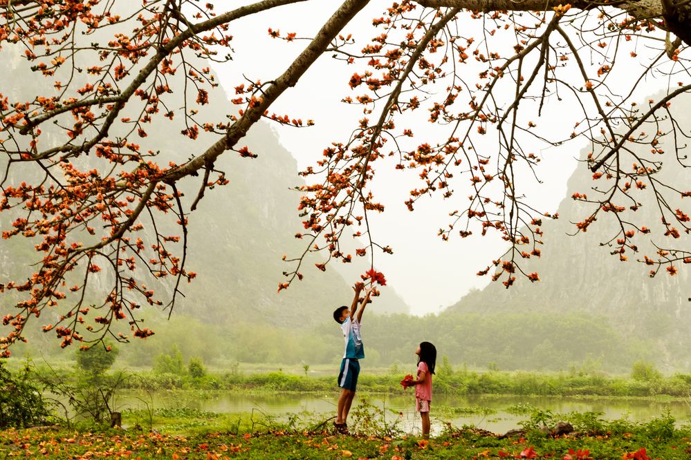 Фотография автора QUAN NGUYEN HUNG