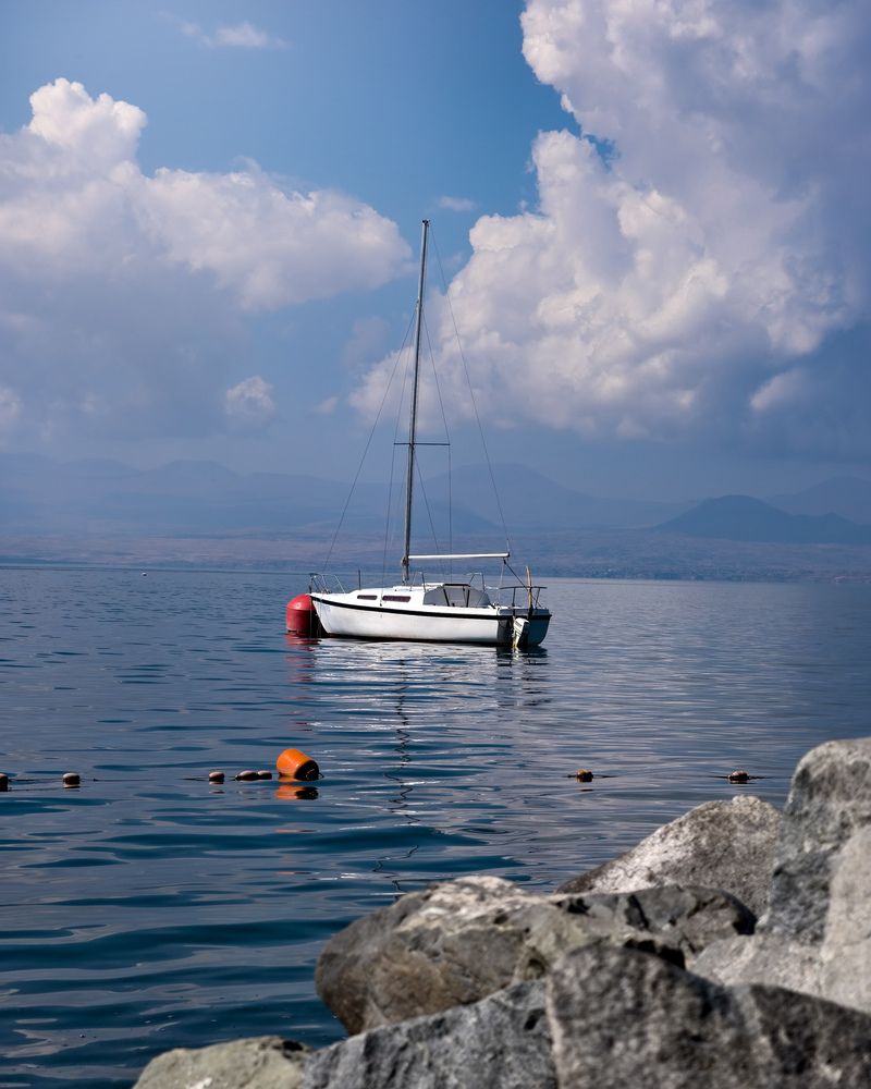 Photograph by Mostafa Moradi