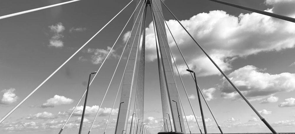 Фотография автора Мария