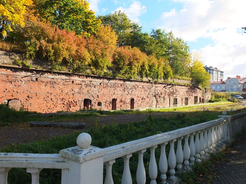 Фотография автора Татьяна Мишкина