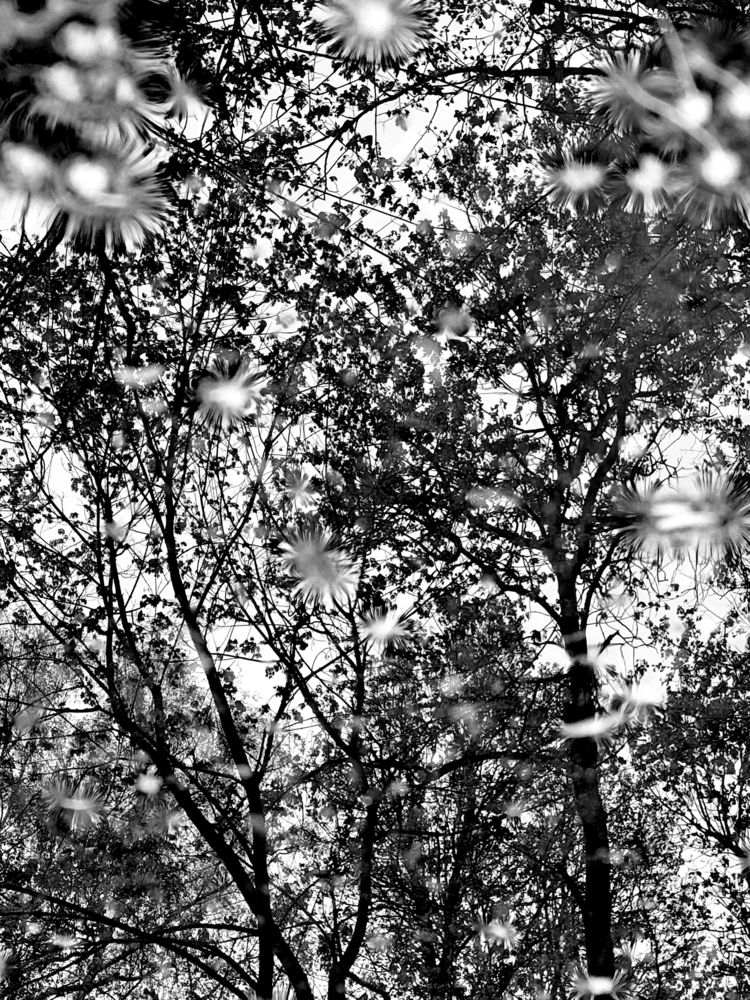 Photograph by Николай Туманов