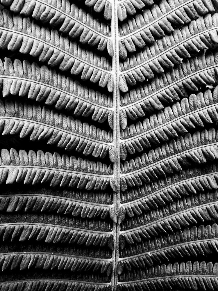 Photograph by Mysov Ivan