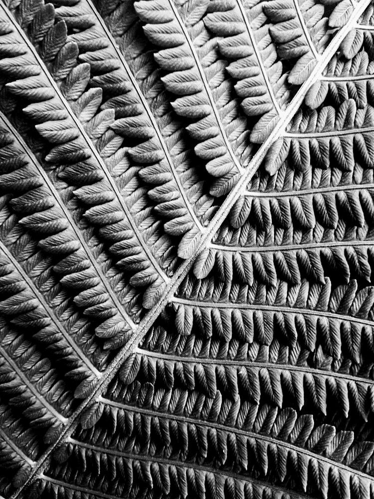 Photograph by Mysov Ivan